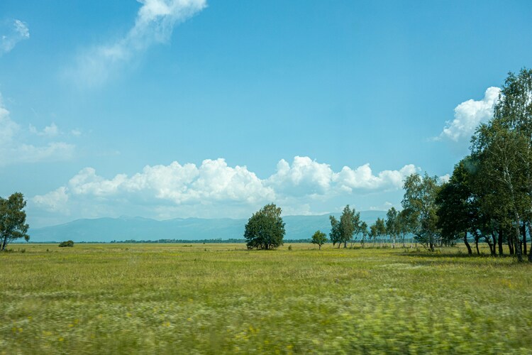 Land for Lease